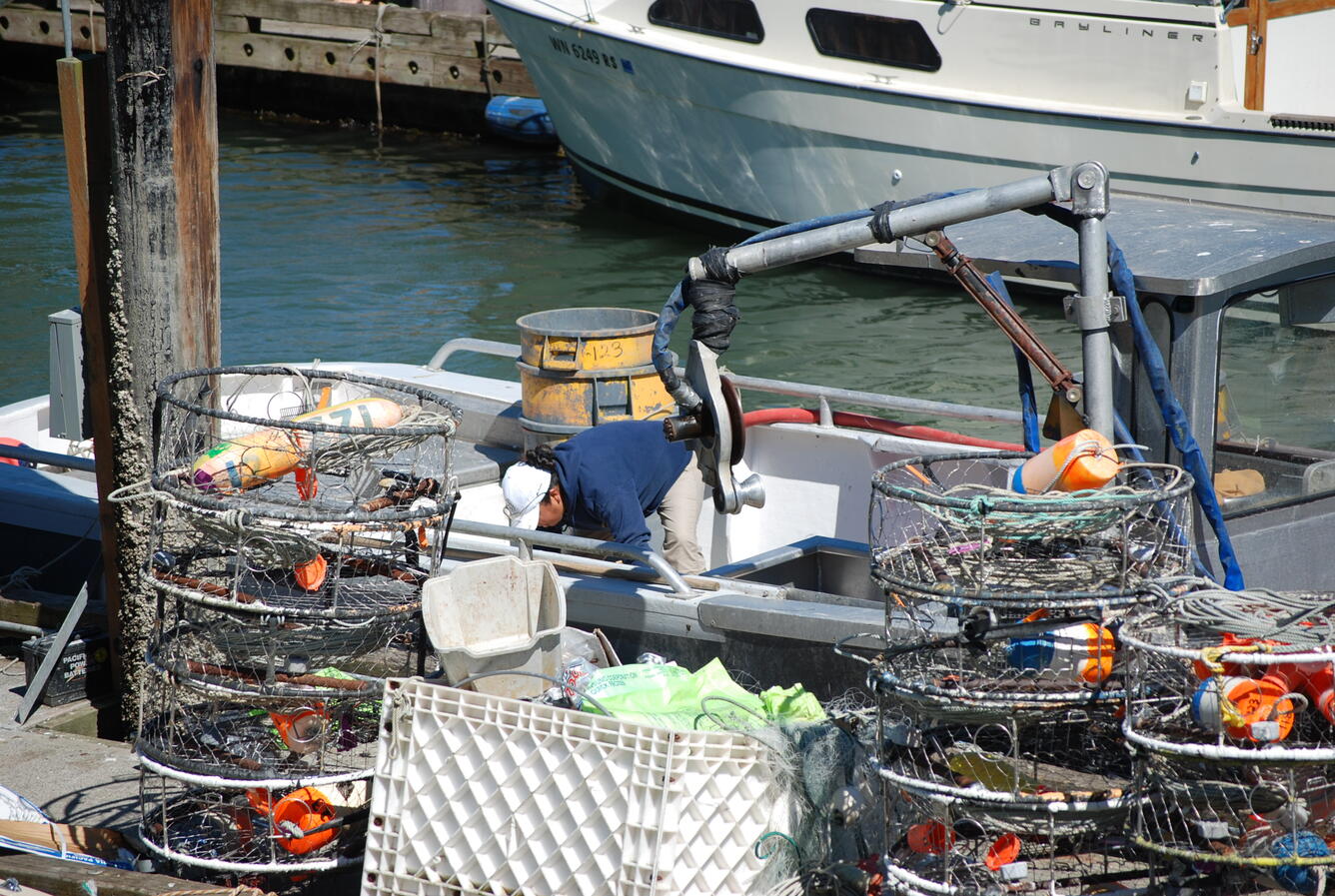 Image: No Title Available