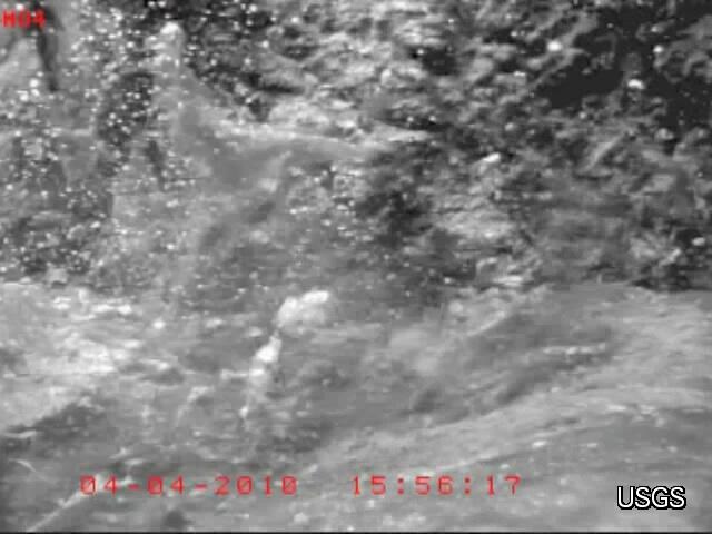 video thumbnail: Devils Hole Pupfish--Shaken, not Stirred