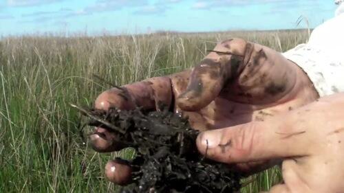 video thumbnail: Effects of Sea-Level Rise on Coastal Wetlands in the Mississippi Delta