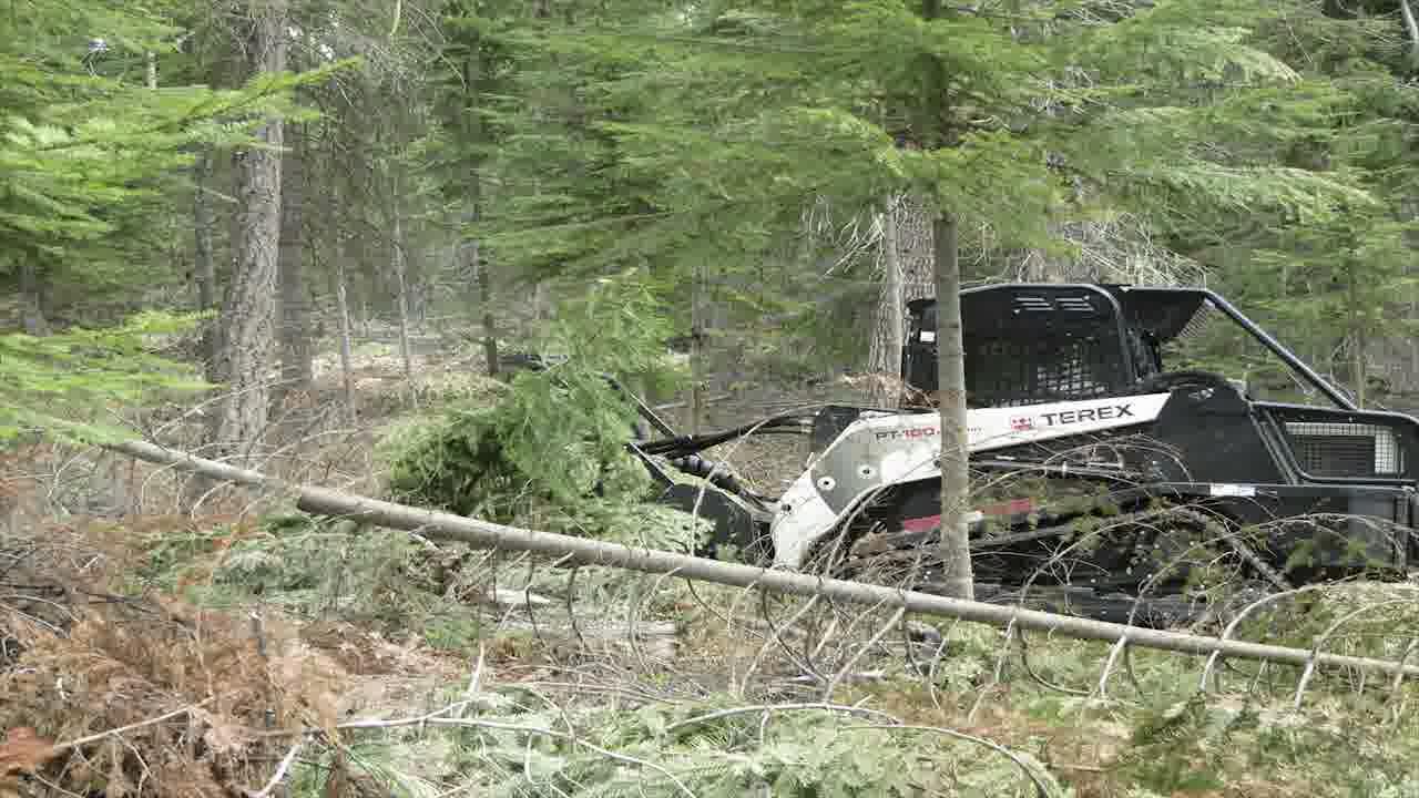 video thumbnail: Elk City Fuels Reduction