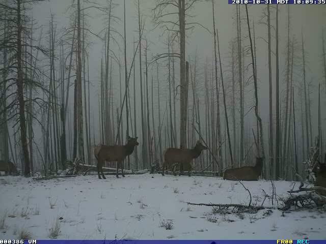 video thumbnail: Elk Halloween Party at Lake Butte