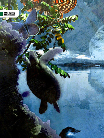 Image: USGS Science In Action Wallpaper (BlackBerry Storm)