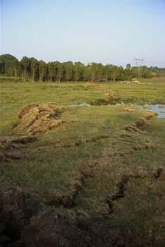 Image: Moletrack and Sag Pond