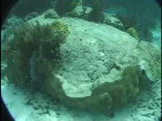 video thumbnail: Florida Keys National Marine Sanctuary