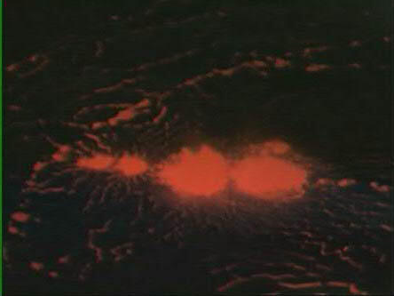 video thumbnail: Mauna Loa Volcano Hawaii -- 1930s Eruption (Part 5 of 5)