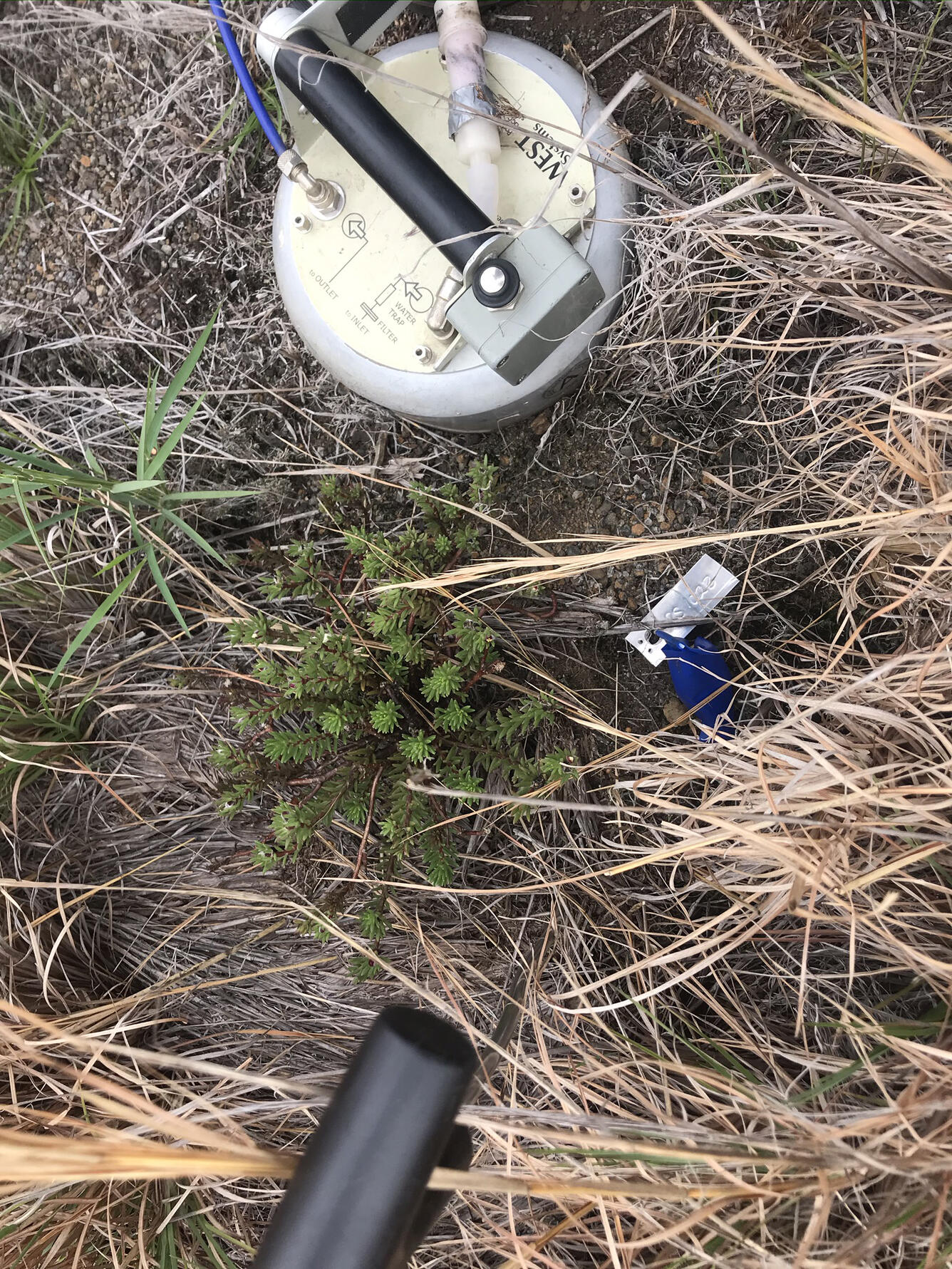 image related to volcanoes. See description