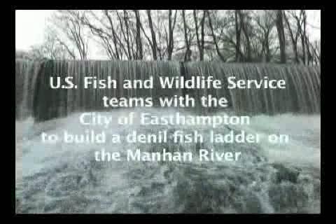 video thumbnail: Manhan River Fish Passage