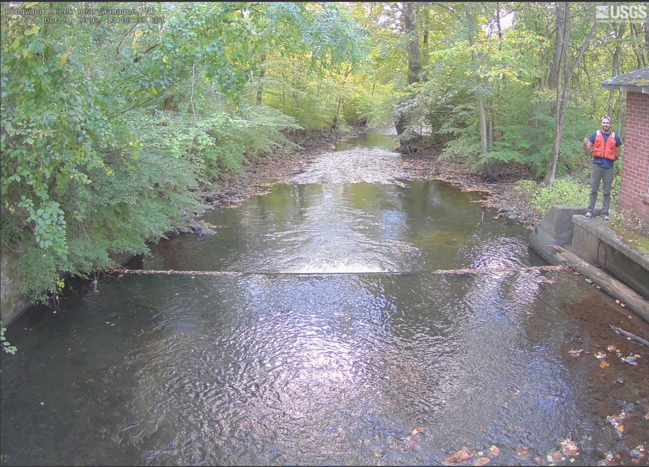 Looking down river along a tree lined stream