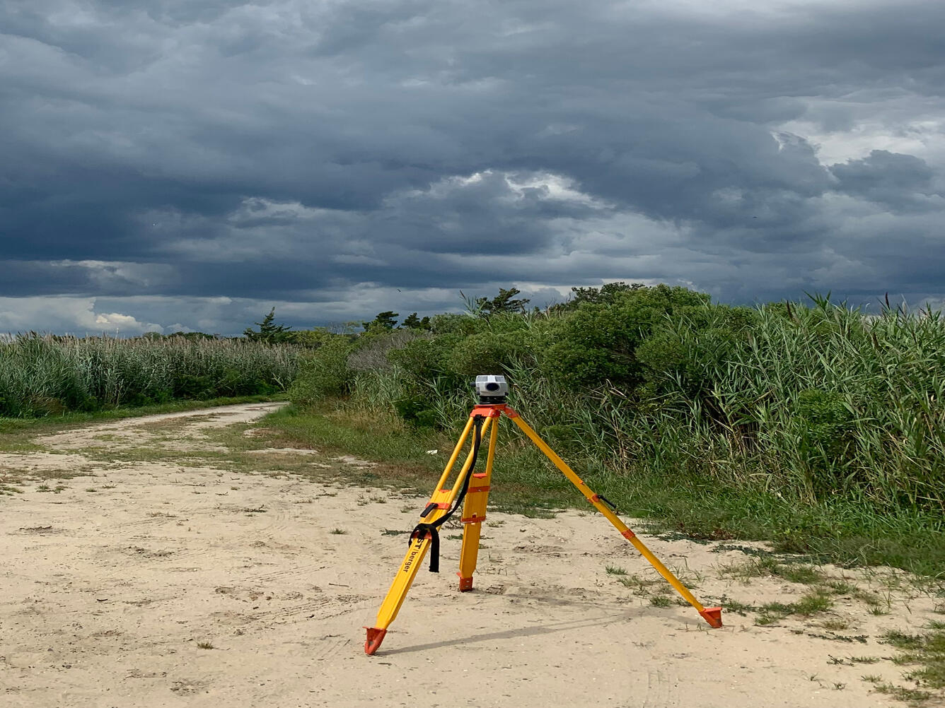 bright yellow tripod with a level transit on top sitting on a sandy beach with high grasses and grey clouds in the background