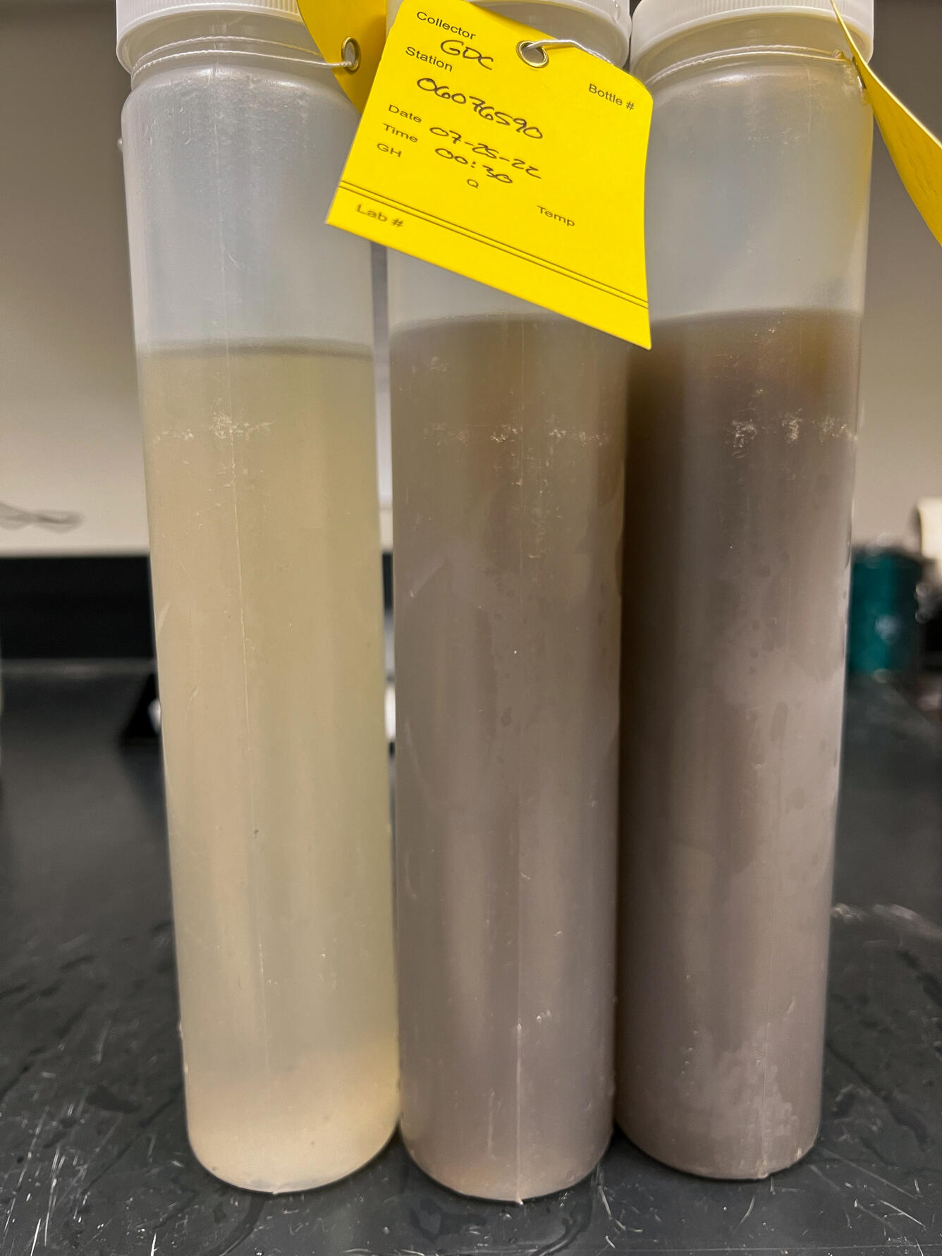 Samples retrieved from Camas Creek