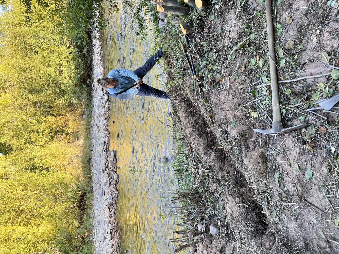 Person uses a pick to create ditch from gage equipment to stream.