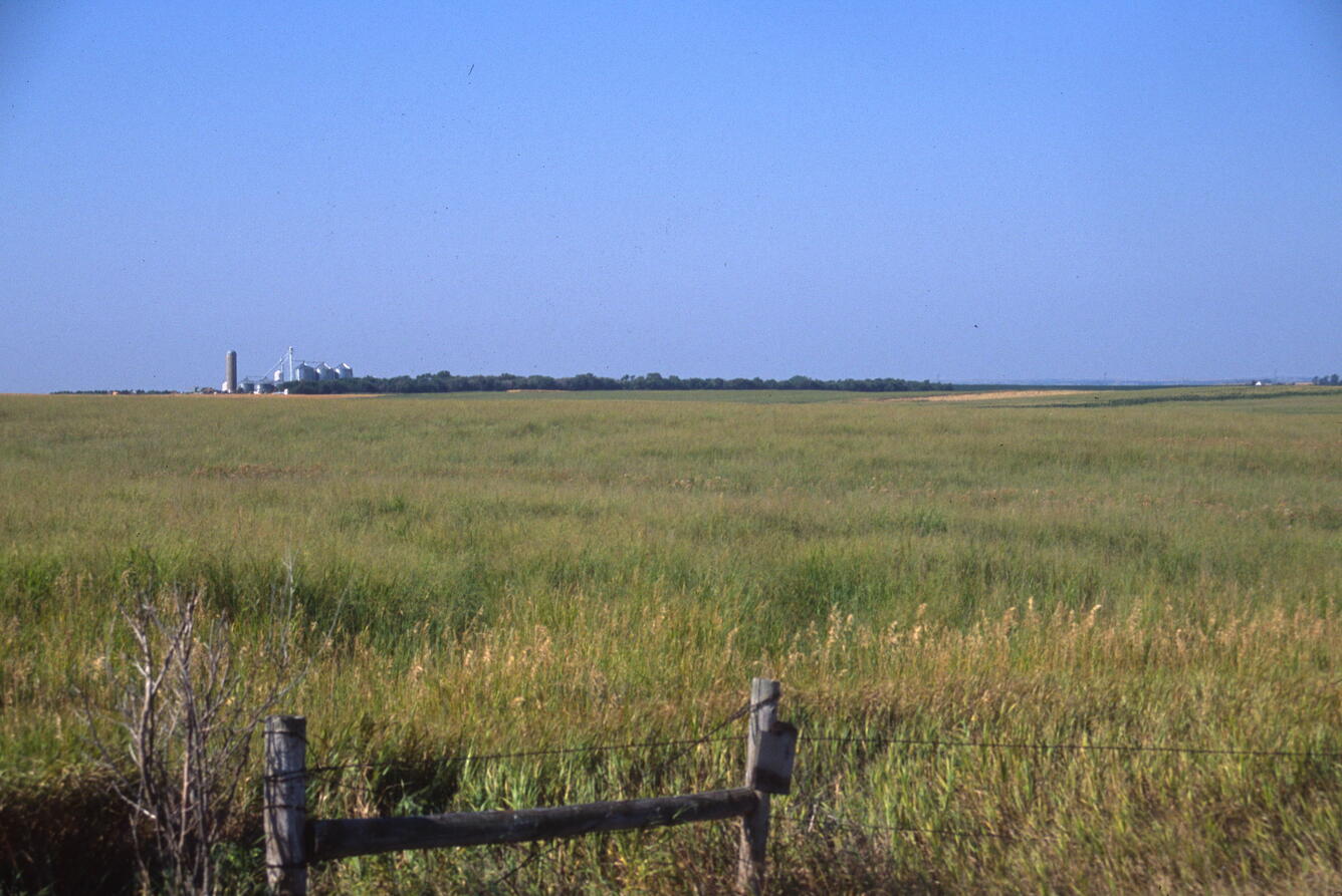 A flat landscape with grasses, a part of a fence in the foreground and a farmstead far in the background