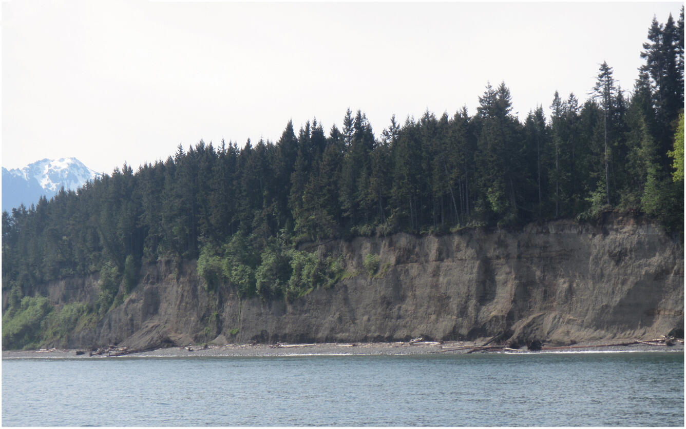 Coastal bluff near the Elwha River, Washington, showing variation in elevation and vegetative cover