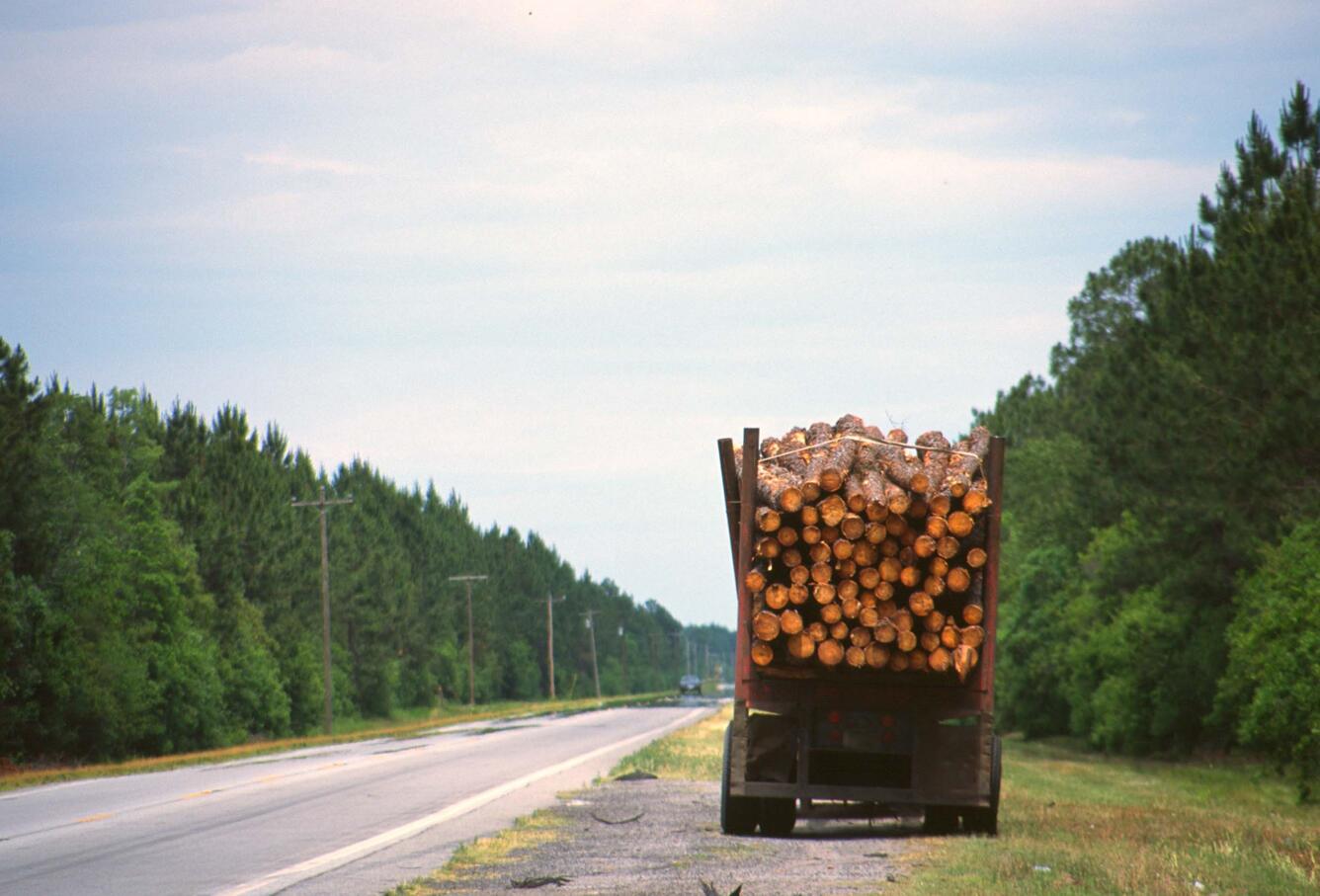 A truck with a load of logs is stopped on the side of a two-lane highway lined on both sides by a grass ditch and then trees