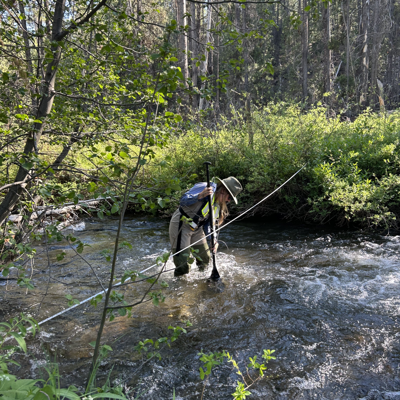 Female hydro tech in safety gear stands in knee deep rushing stream water collecting temperature readings