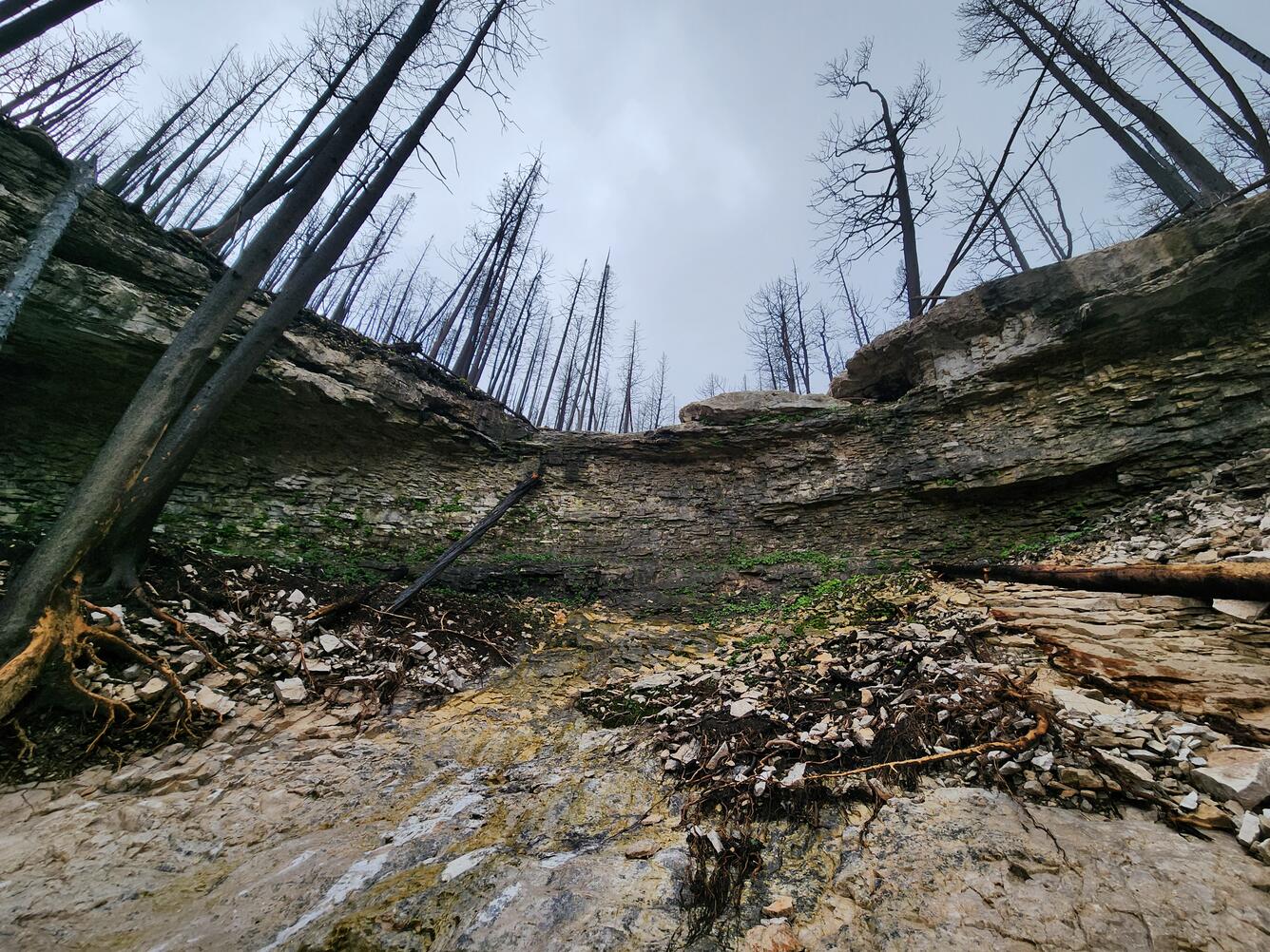 rock outcrop near the top of a channel surrounded by burned trees
