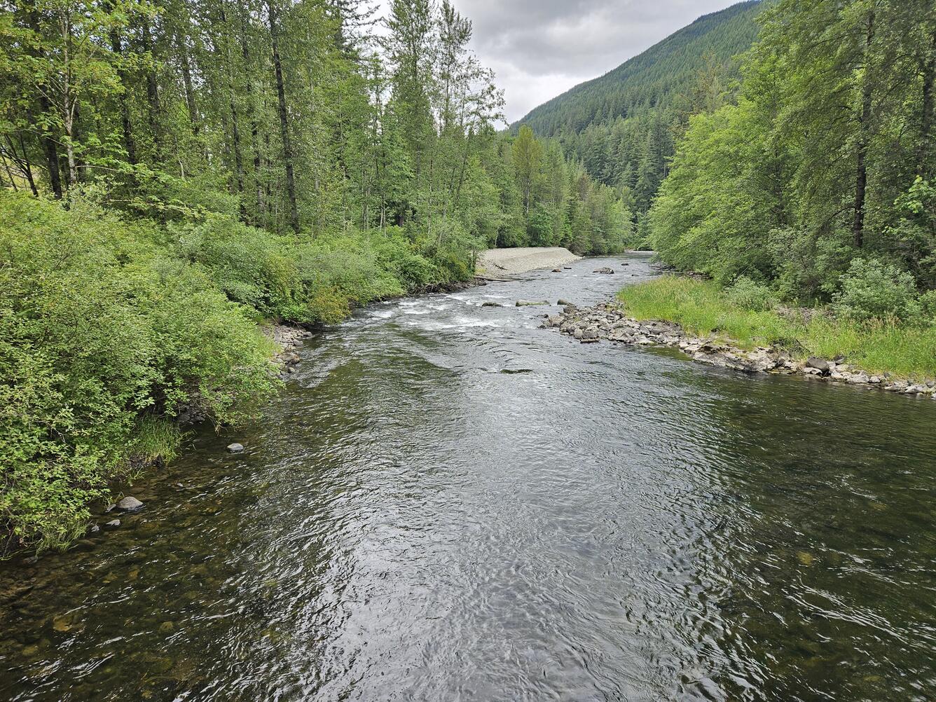 Cobble-bed river channel