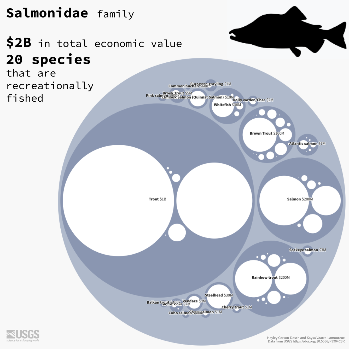Nested bubble chart shows global economic value in U.S. dollars for the Salmonidae family of fish.