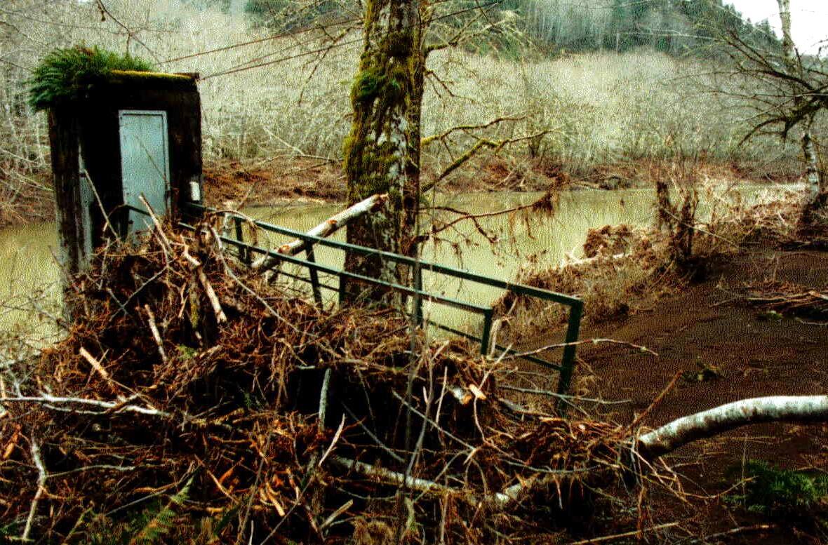 large pile of wood, sticks against the gage house walkway ramp.
