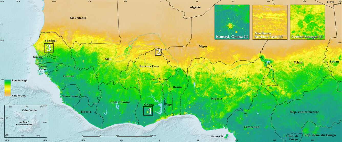 Land Productivity 