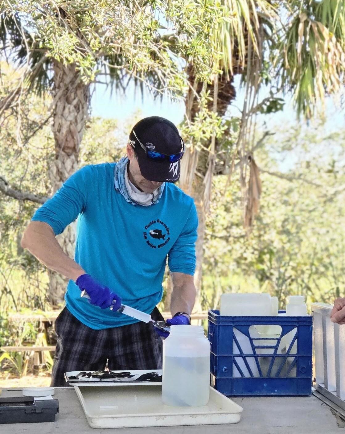 A person in a blue shirt and hat wearing gloves uses a syringe to preserve a fish sample