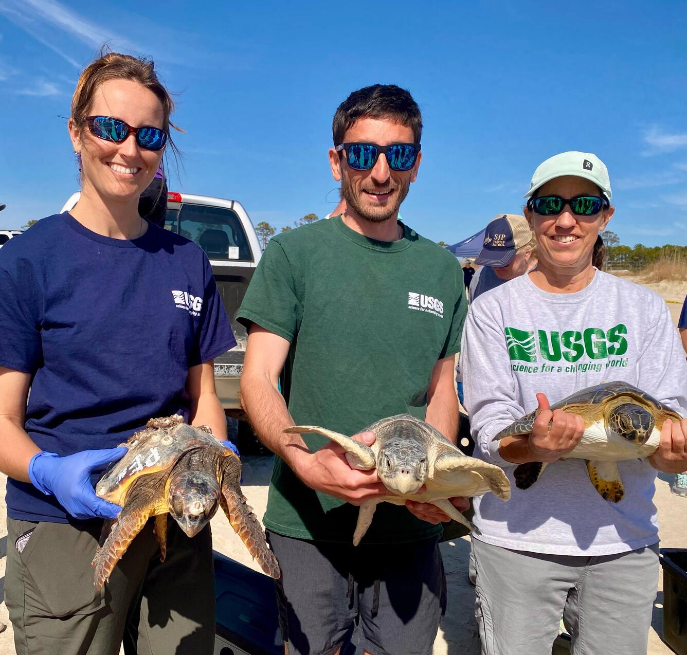 Three scientists hold one rescued sea turtle each in their hands on a beach. 