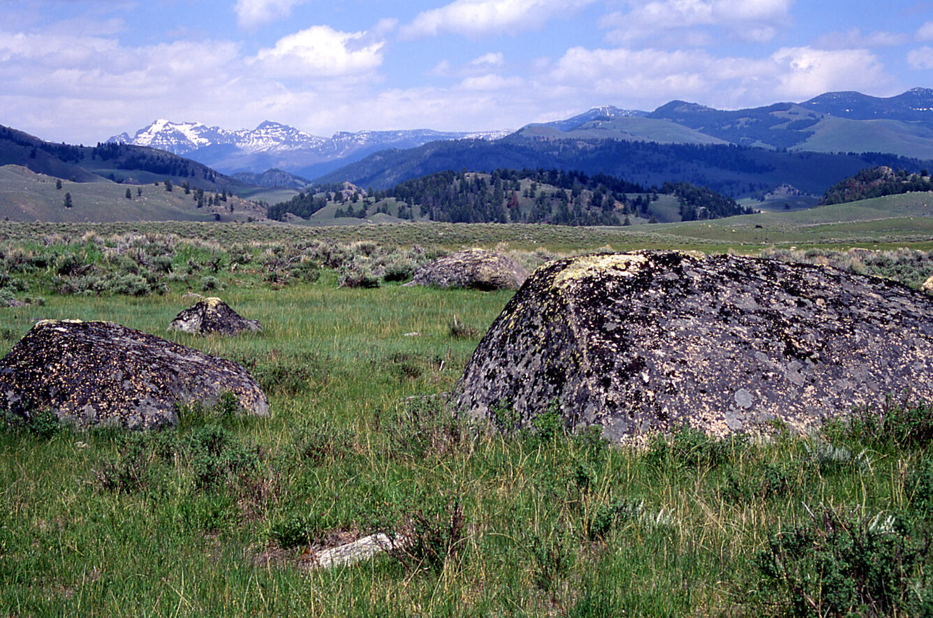 grassy field with moss-covered boulders, and forested hills and snowy mountains in the distance