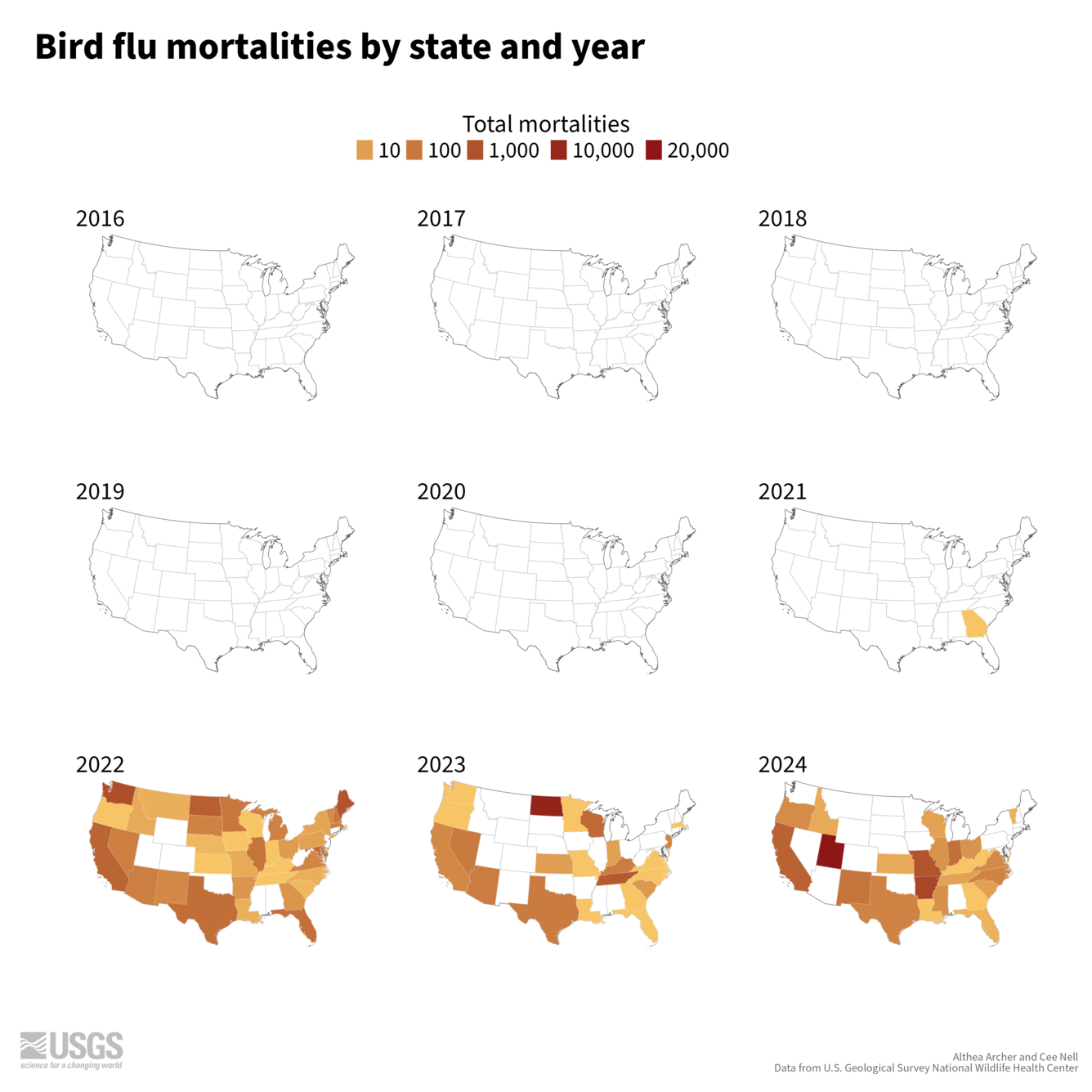 Maps showing Bird flu mortalities by state and year.