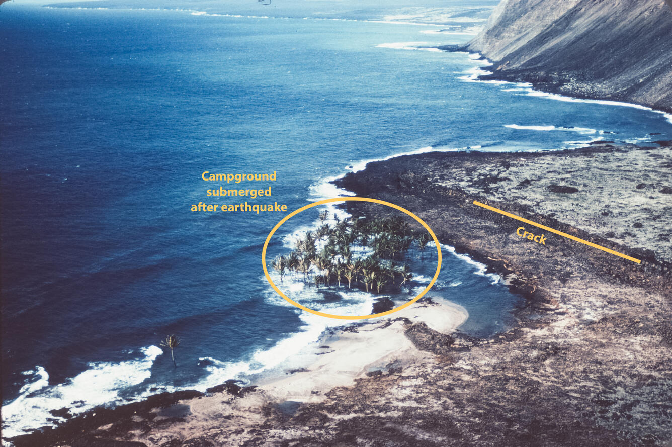 November 29, 1975 - Submerged coconut grove at Halapē, from the