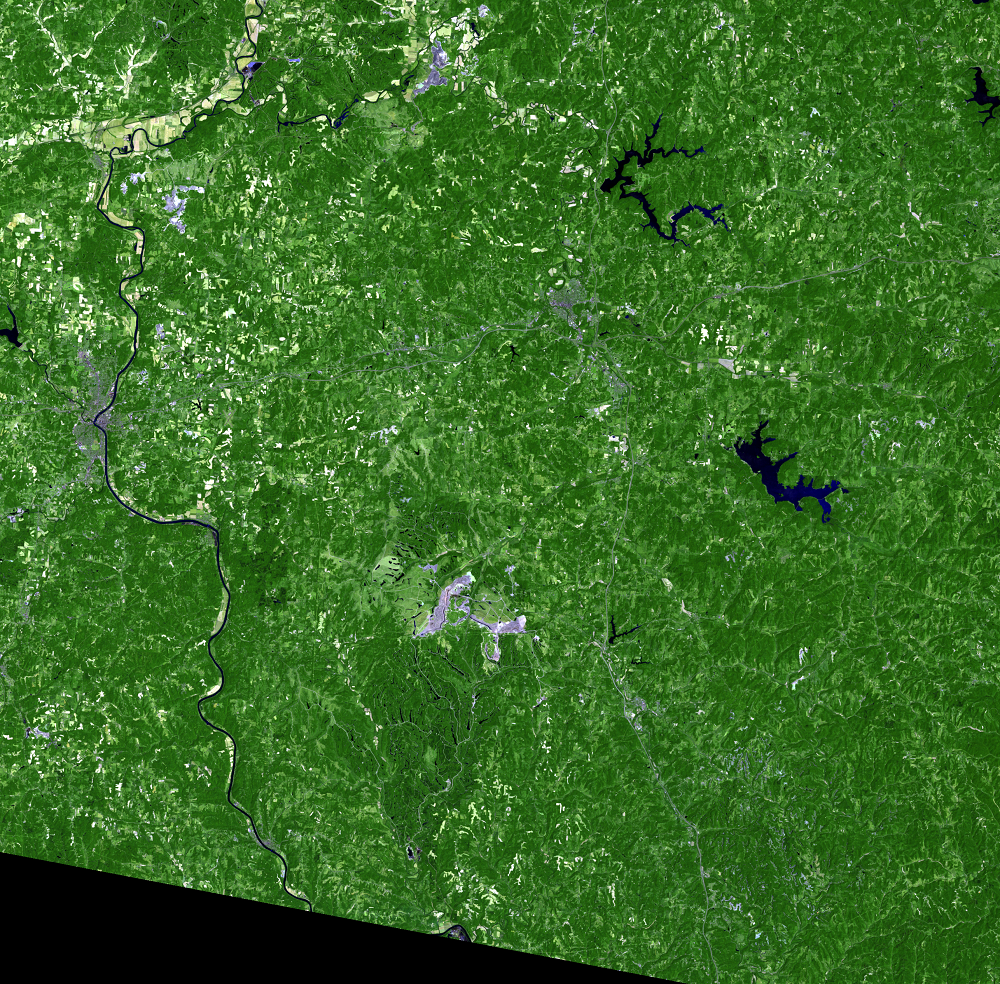 Satellite image with predominantly green vegetation and a few blue waterbodies