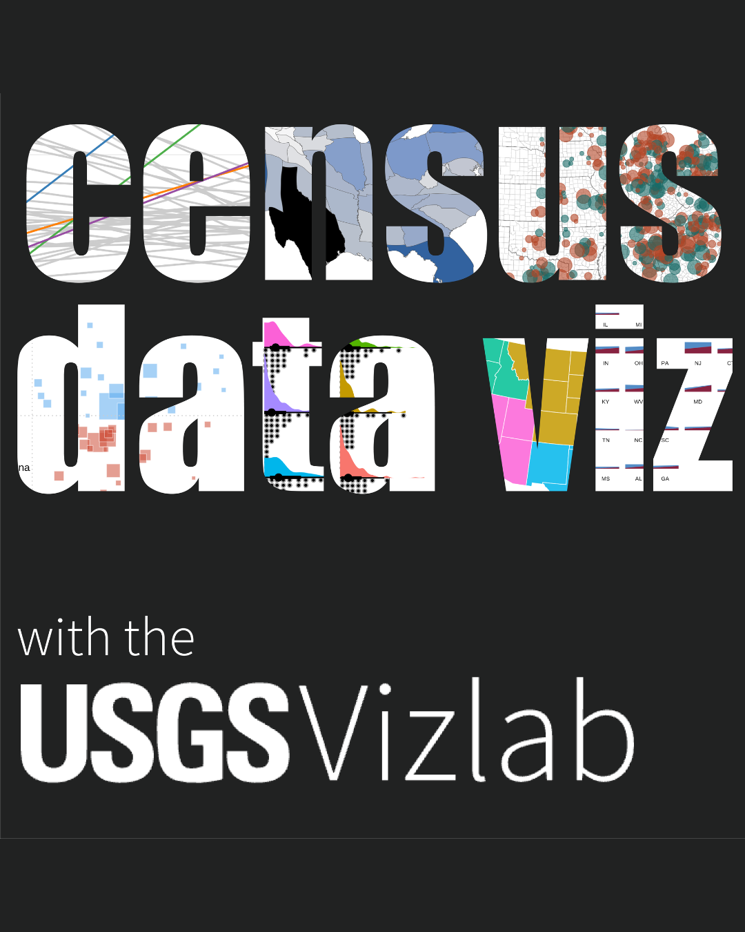 Census data viz with the USGS Vizlab. Title letters are composed of screenshots from the plots shown in the blog. Line chart showing the percent of households lacking