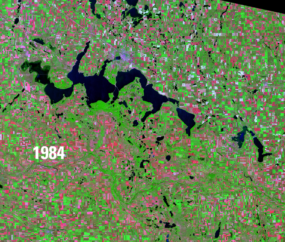 Satellite image showing water bodies in deep blue, green vegetation and pink barren areas