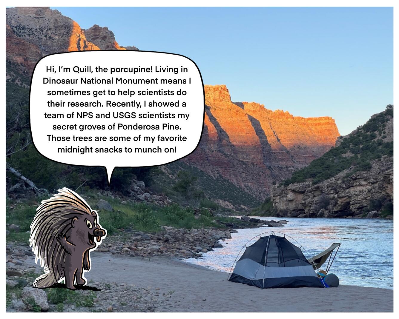 A tent sits on a riverbank, while a river flows in a sunrise lit canyon