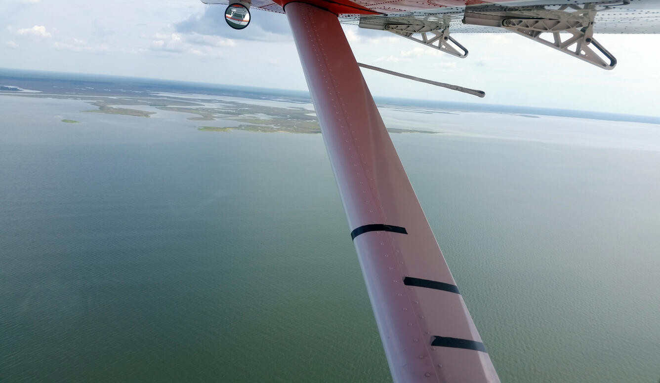 Aircraft wing with markings