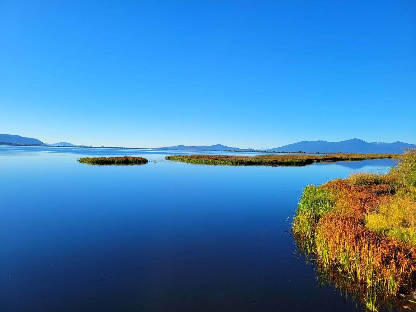 Blue skies and blue waters with some islands of vegetation visible in the lake