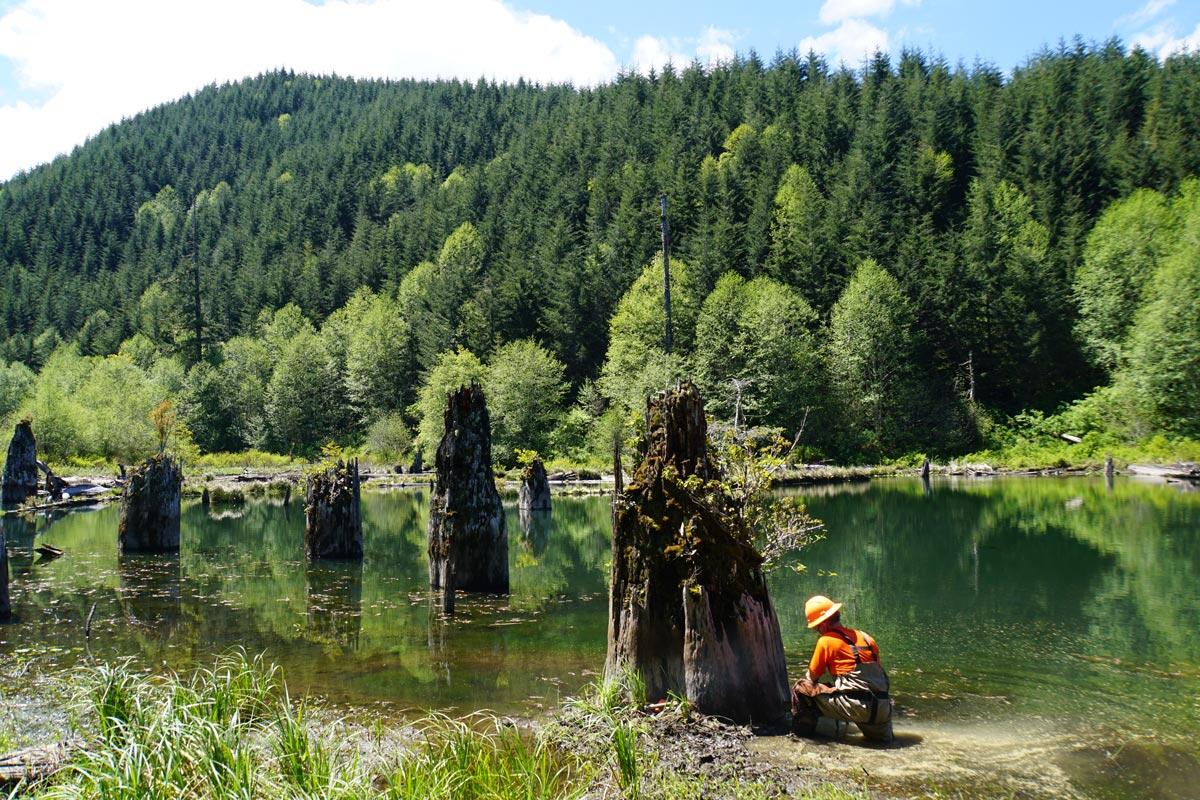 small pond with trees and a person at the base of a tree