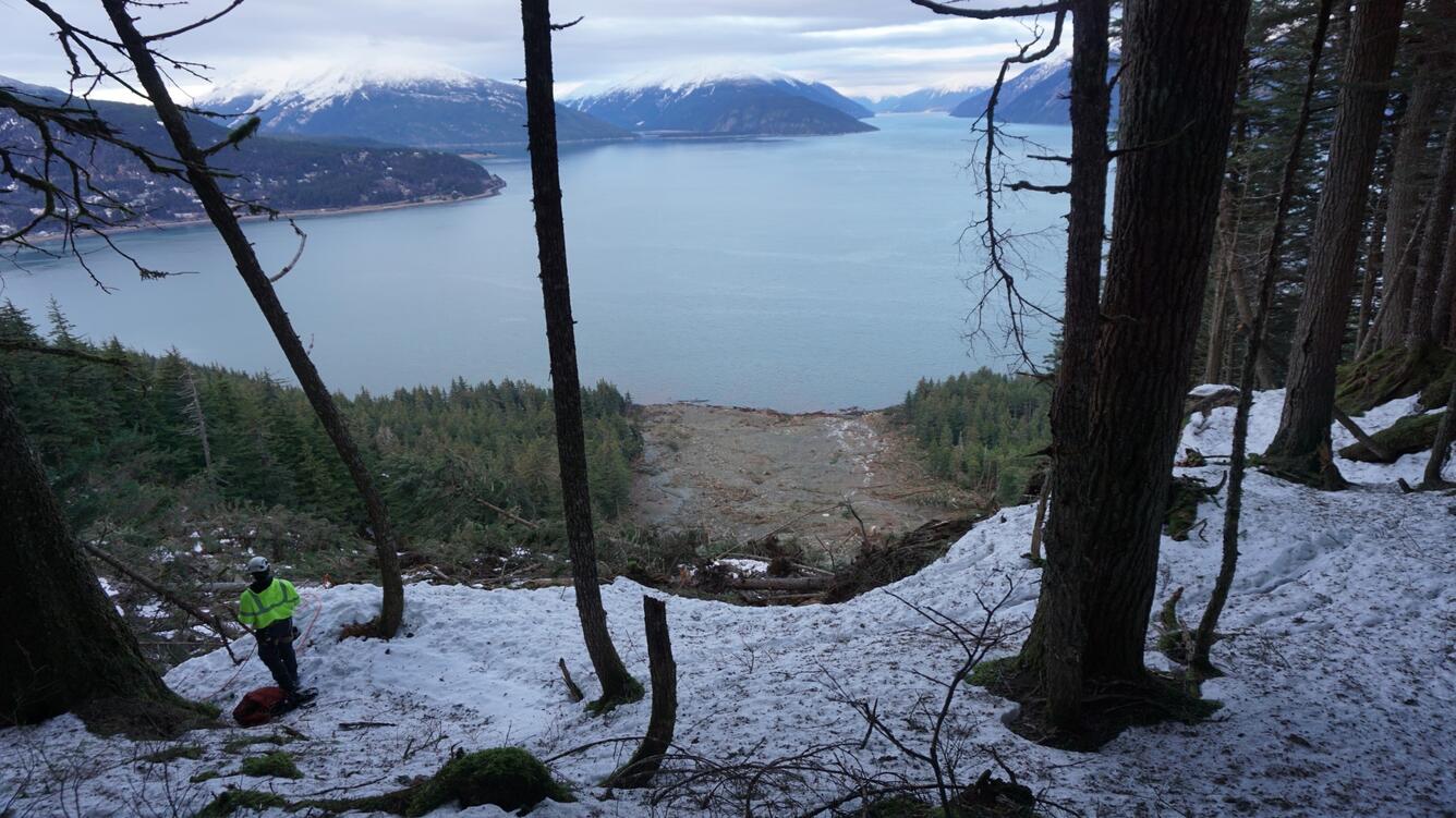 Snow, trees, and trees on lake edge