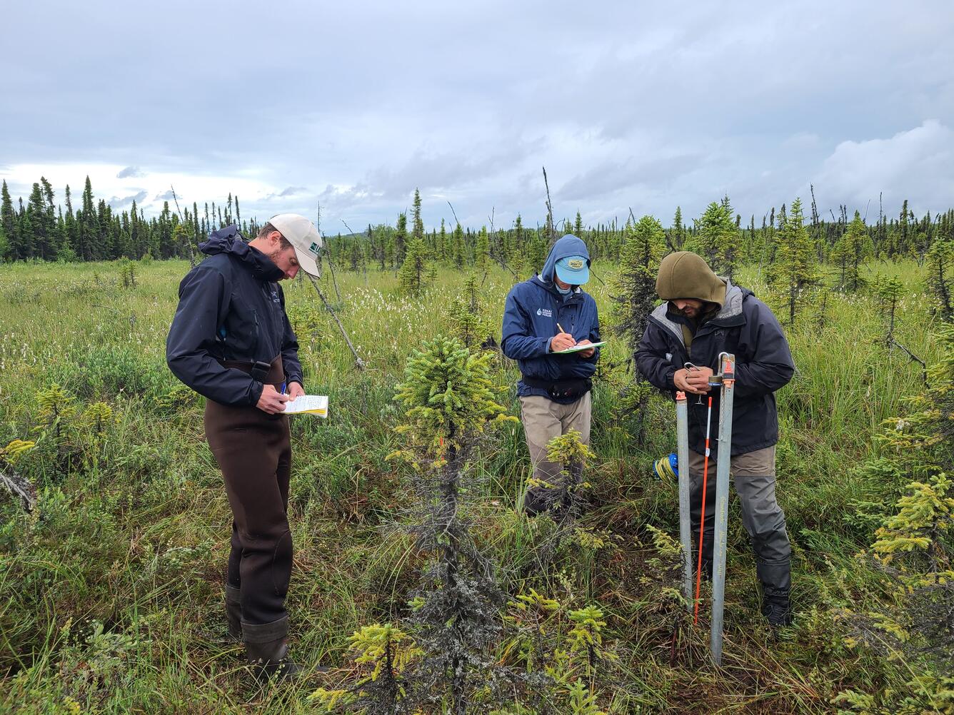 Researchers performing field work in Beaver Creek, AK.