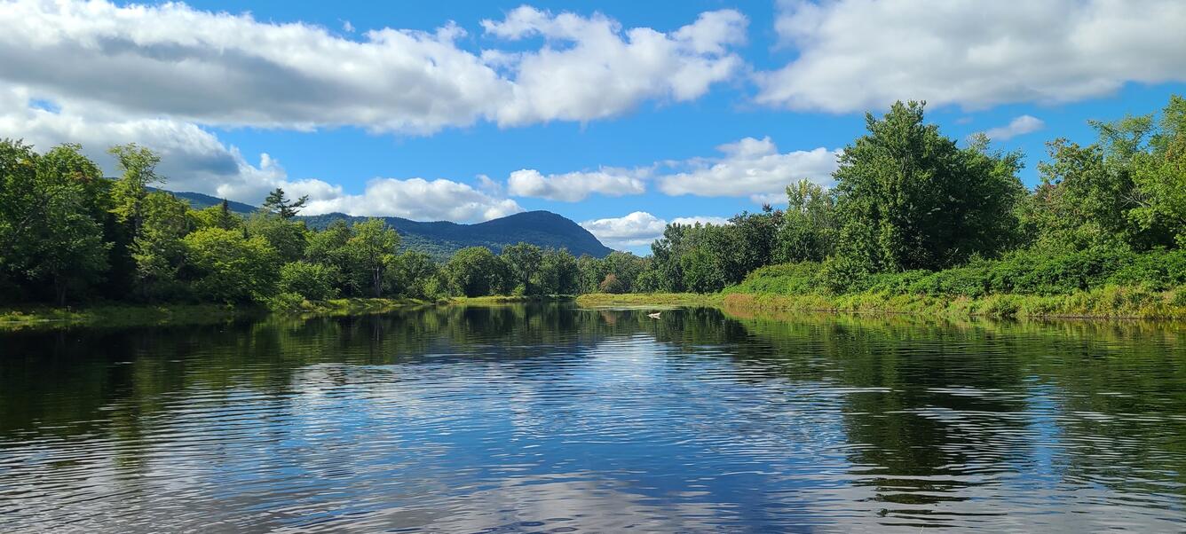 A view of a calm river with green banks and a mountain in the background.