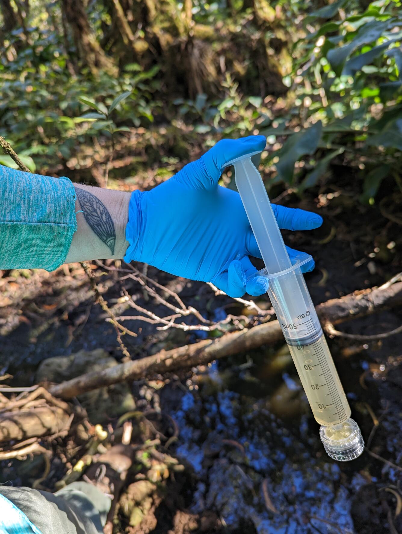 Scientist holds a plastic syringe filled with murky water. Exhibiting an eDNA sample.