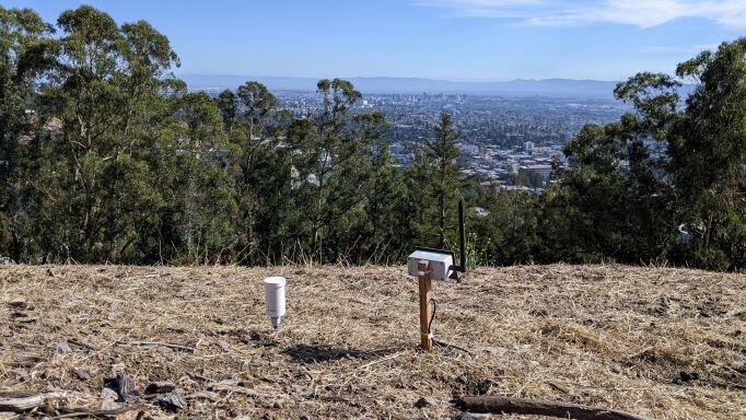 hillslope with trees and monitoring equipment