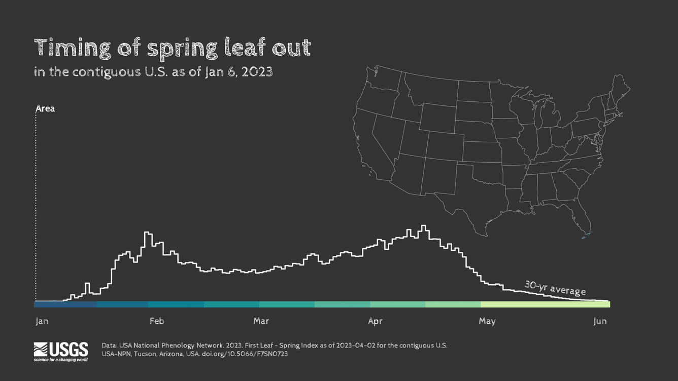 An animation of spring leaf out timing in the contiguous U.S. from Jan 1 2023 to Apr 3, 2023.