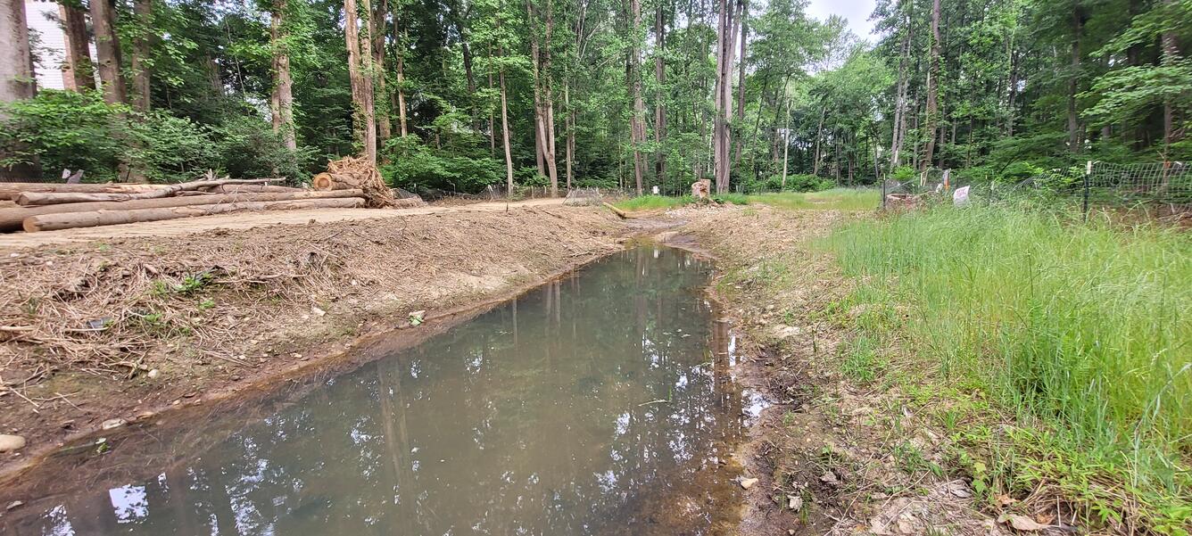 Photograph of a Stream beside deforested woods Rabbit Branch, Fairfax County 