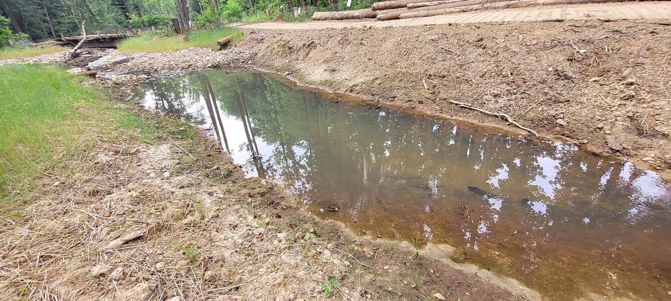 Photograph of a Stream beside deforested woods, Rabbit Branch, Fairfax County 