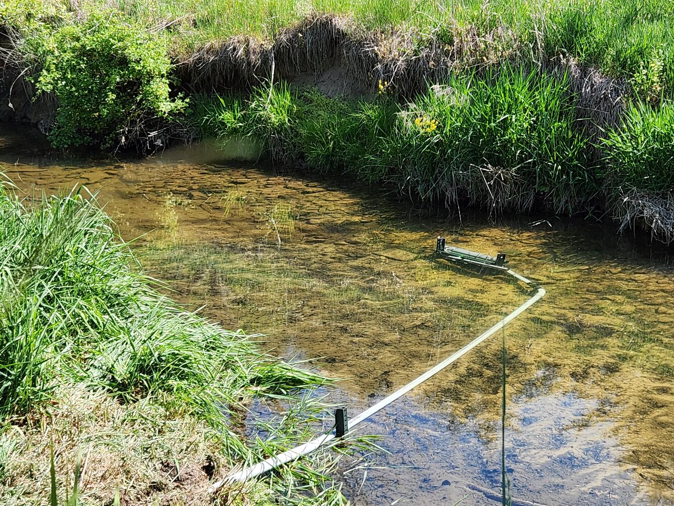 A water quality sonde mounted beneath the water in a rural creek.