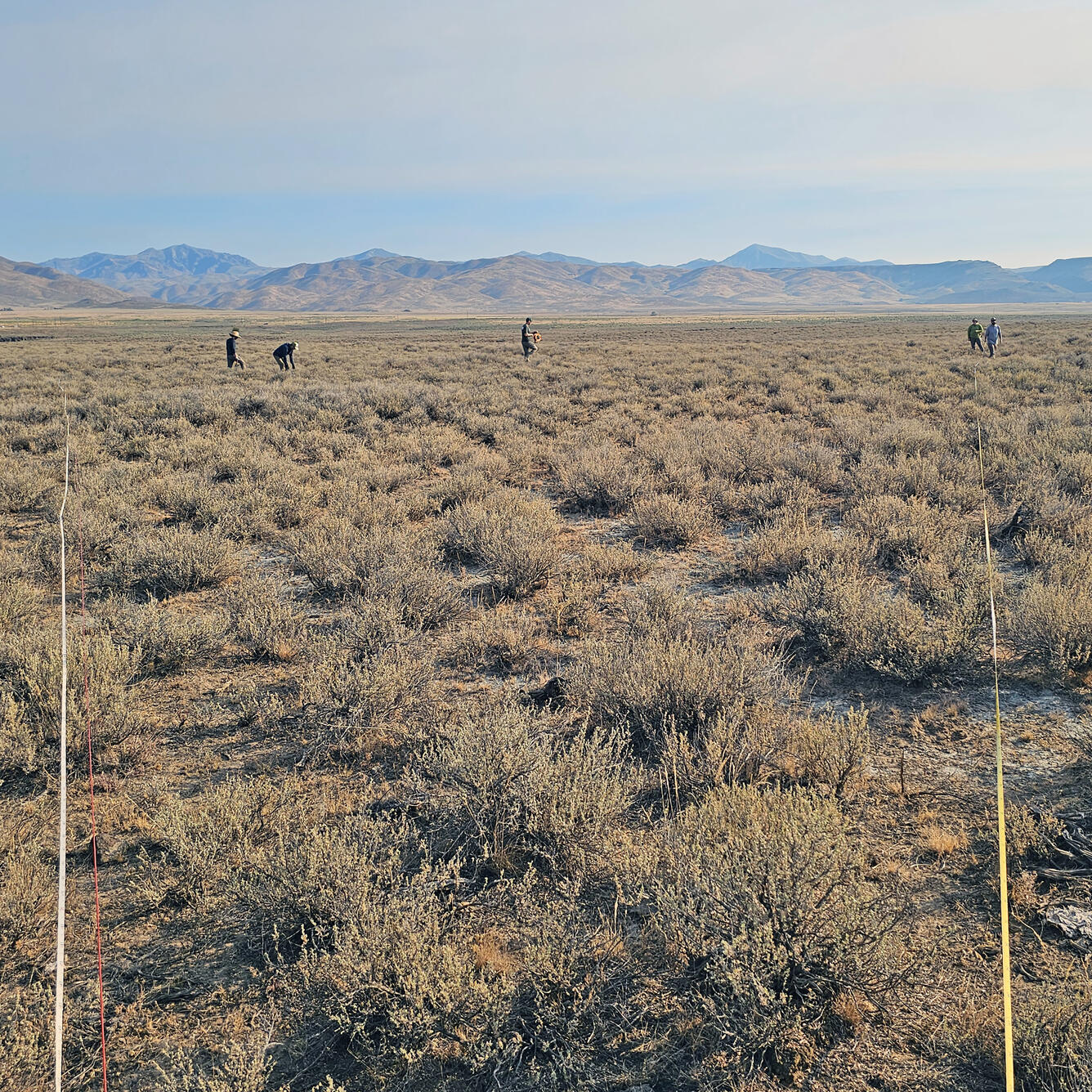 USGS scientists setting up a time domain electromagnetic array, Camas Prairie, southern Idaho