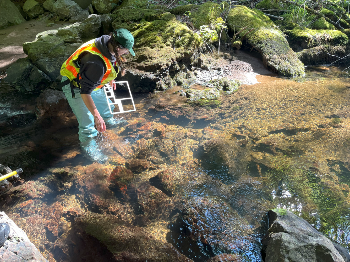Female holding gravelometer bends down looking into shallow clear river water. River bed is lit by the sun.