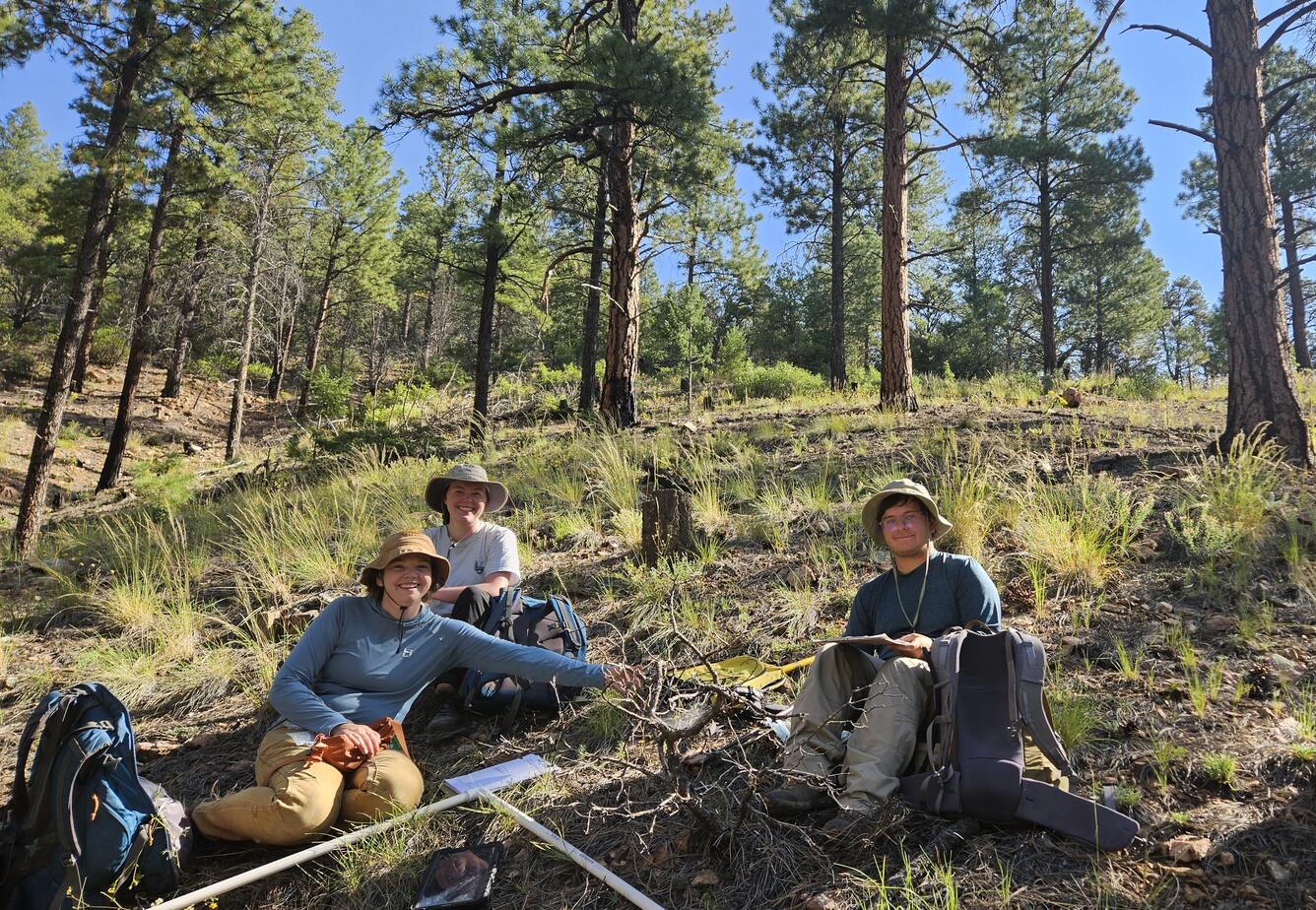 three people in field gear and with field equipment sit on a forest floor, with grasses and pine trees behind them