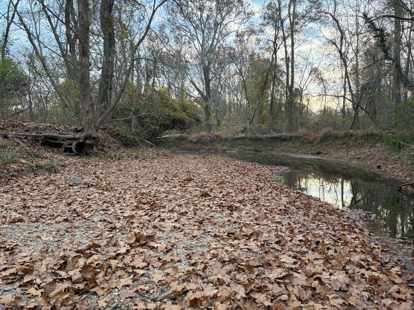Accotink creek in autumn.