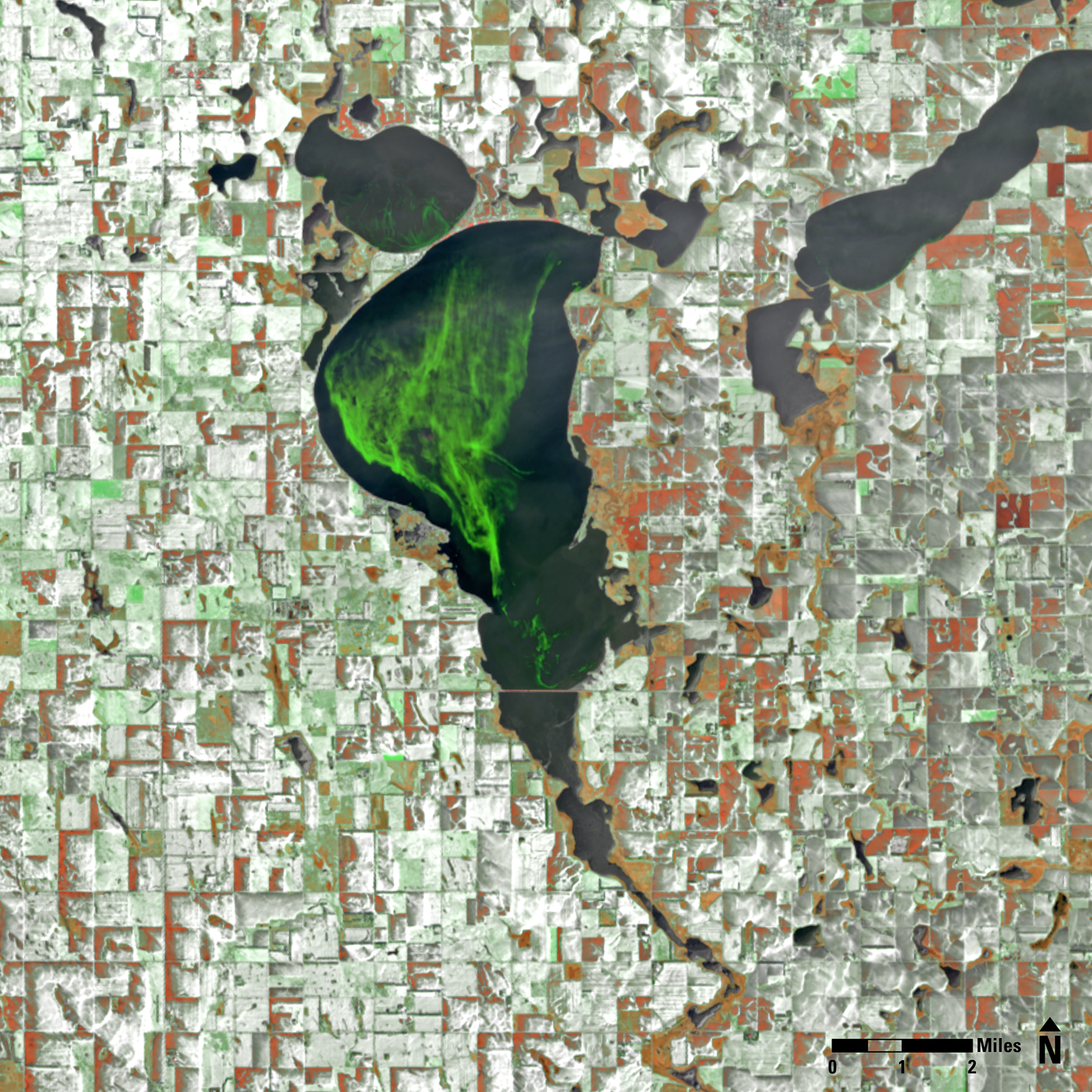 Landsat 8 image of Lake Thompson in South Dakota, showing a November algal bloom.